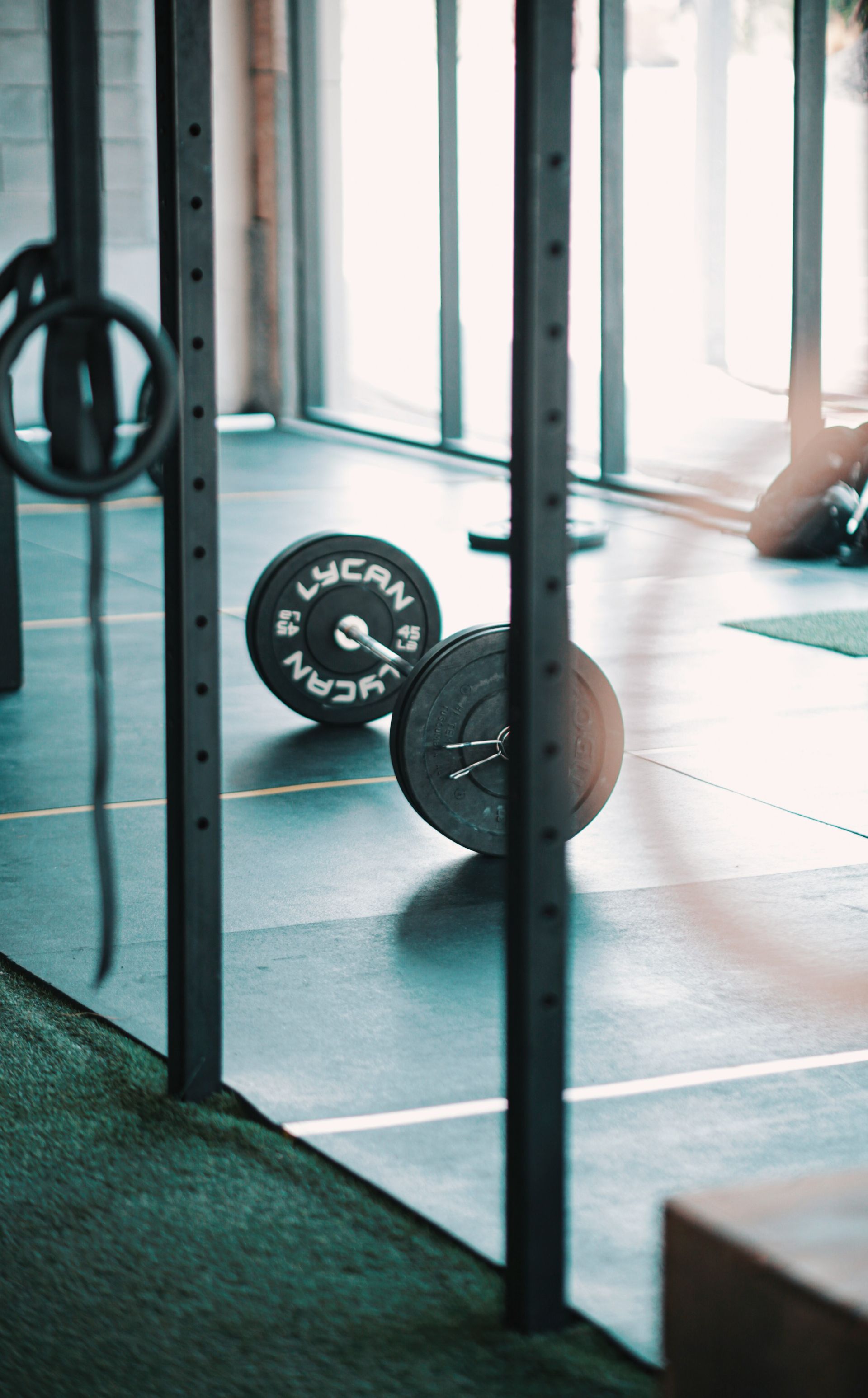 Close-up of gym equipment including dumbbells and jump ropes on a rack.